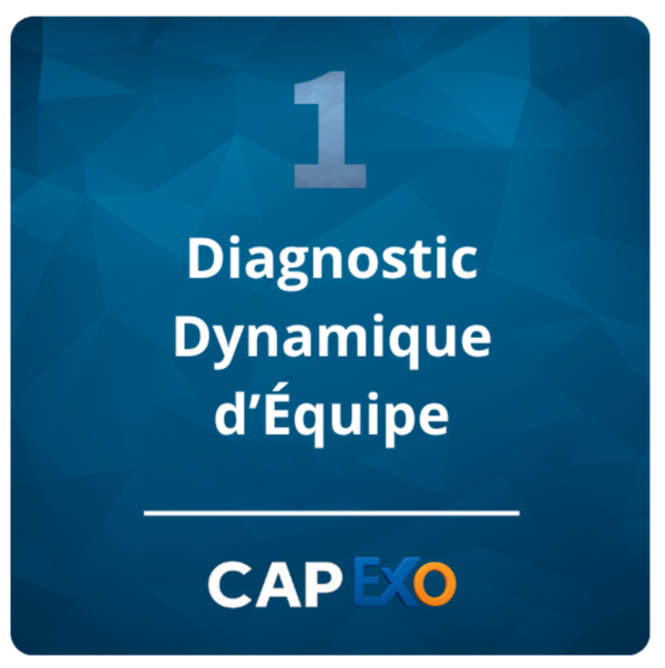 1- Diagnostic Dynamique d'Équipe